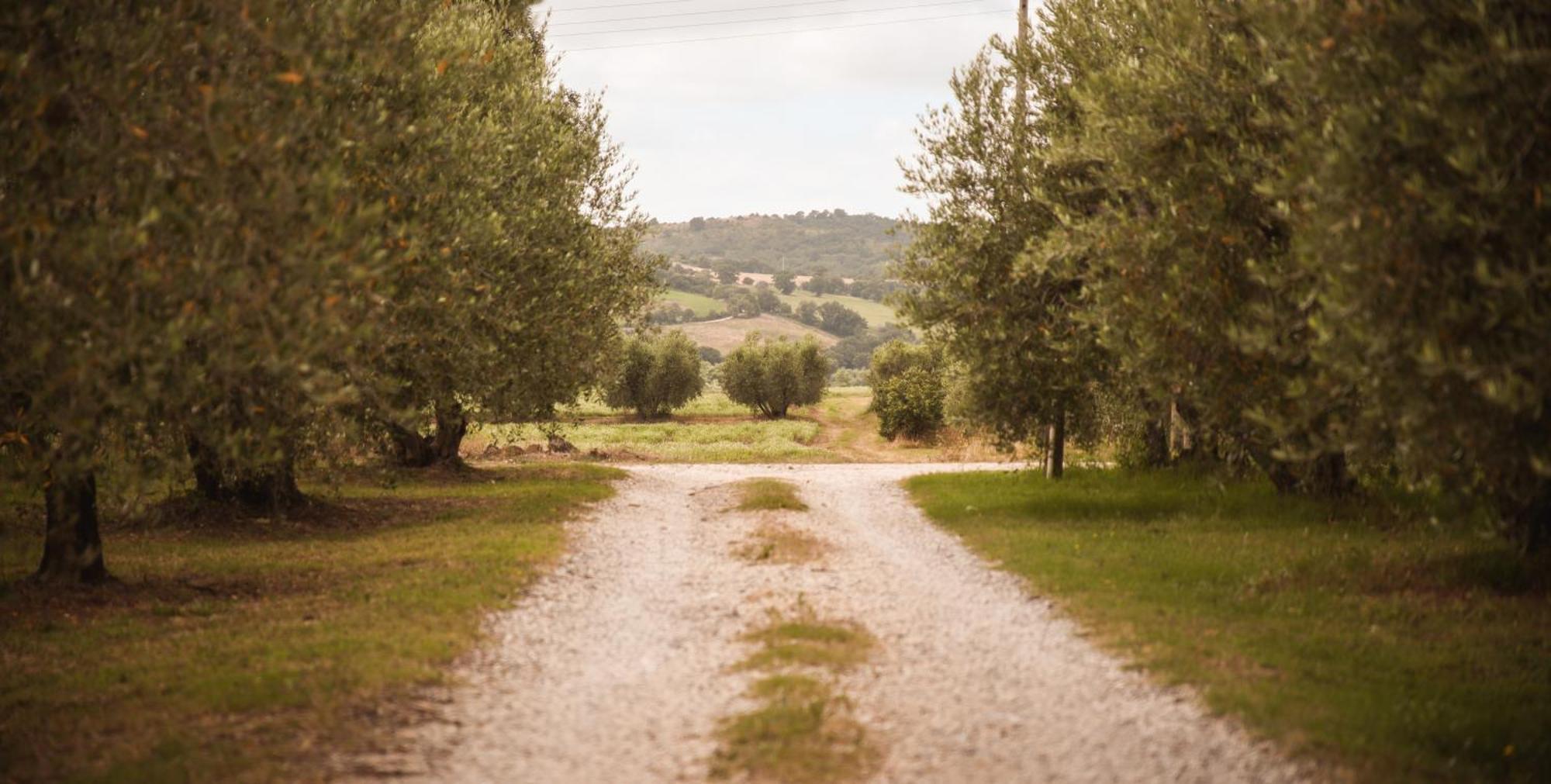 Agriturismo Poggio Alle Calle Saturnia Exterior foto